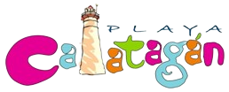 The Spinnaker Logo